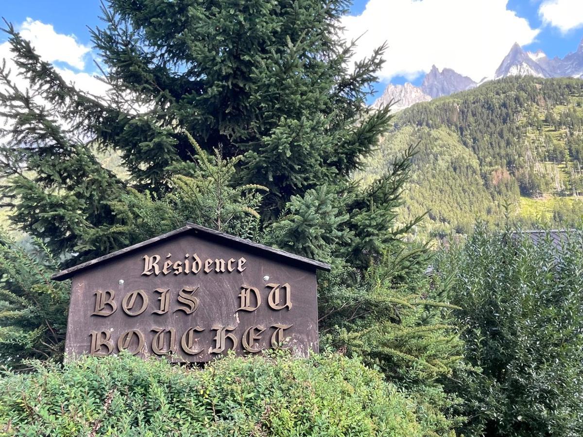 Residence Bois Du Bouchet, Appartement Vue Montagne, Calme, Parking Gratuit, Proche Centre Chamonix Exteriér fotografie