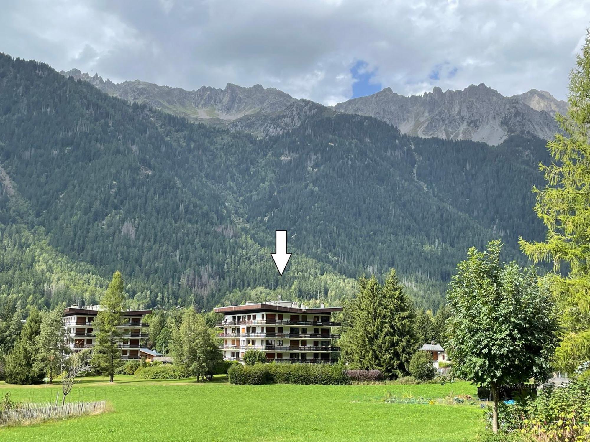 Residence Bois Du Bouchet, Appartement Vue Montagne, Calme, Parking Gratuit, Proche Centre Chamonix Exteriér fotografie